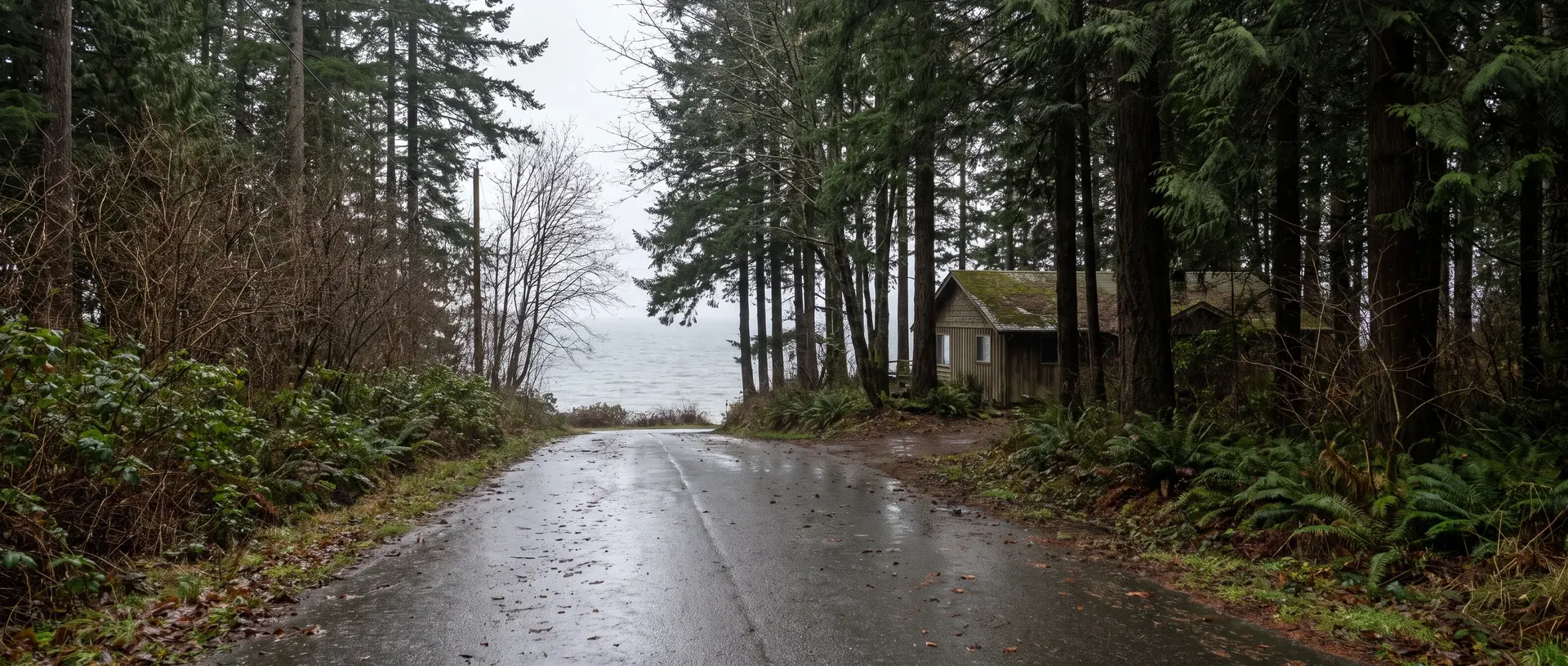 Quiet forested dead end road on Point Roberts with grey water visible through the trees